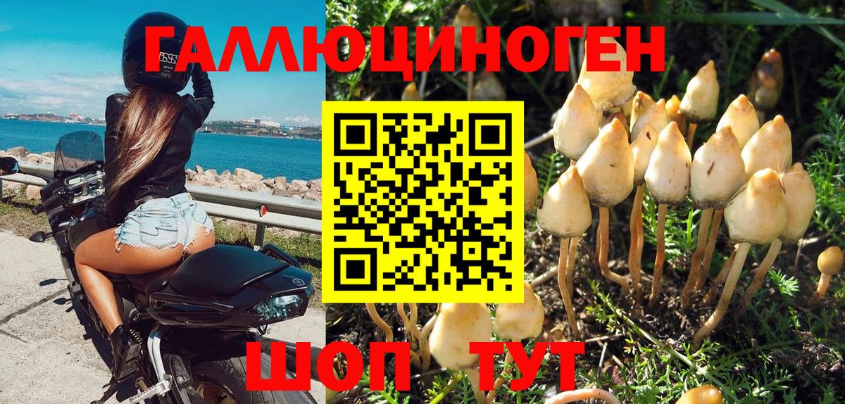 Железноводск  Псилоцибиновые грибы мицелий  Вход с VPN 
